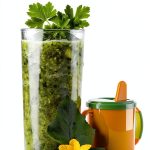 Ulysses Press Baby Food Kindle eBook English Edition-0